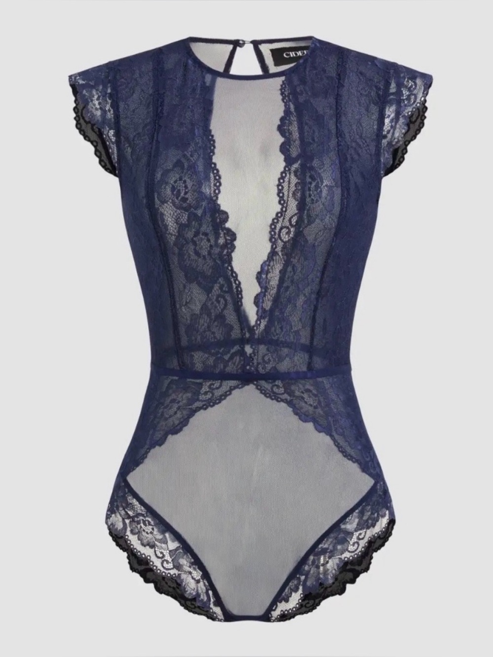 NWT Cider Deep Navy Lace Sheer Bodysuit
